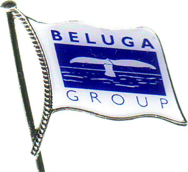 Beluga Shipping GmbH